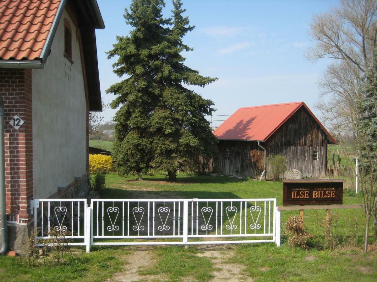 Ferienhaus Ilse-Bilse Neuhausen  Exterior photo